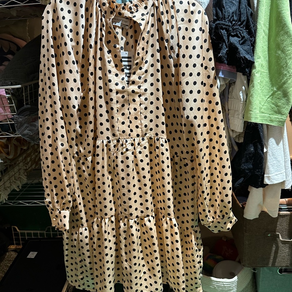 Urban outfitters NWT polka dot silky dress